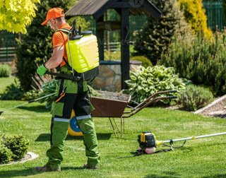 Servicio de jardinería