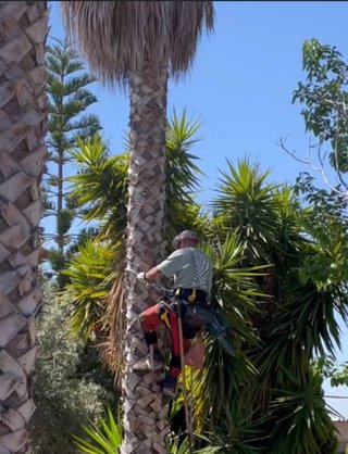 Servicio de jardinería