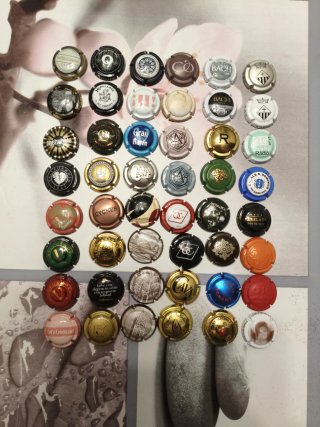 48 Placas de Cava Variadas
