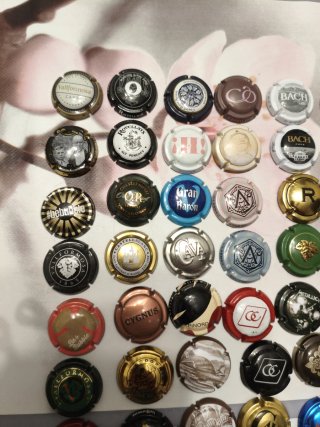 48 Placas de Cava Variadas