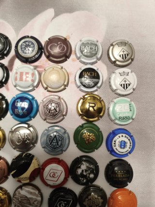 48 Placas de Cava Variadas
