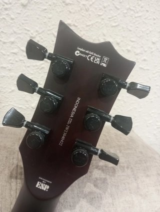 Guitarra LTD EC-1001 Deluxe Eye Tiger