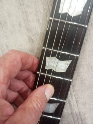 Guitarra LTD EC-1001 Deluxe Eye Tiger