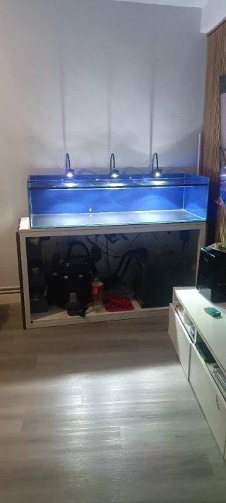 Acuario con mesa