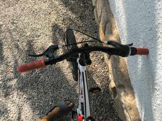 Bicicleta infantil Freerider 20