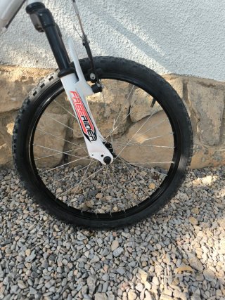 Bicicleta infantil Freerider 20
