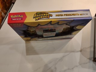 Caja Pokémon Mega Feraligatr EX