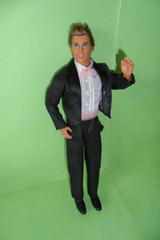 Ken Barbie Butterfly Prince capelli veri 1994