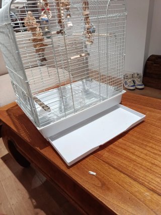 Jaula para pájaros blanca
