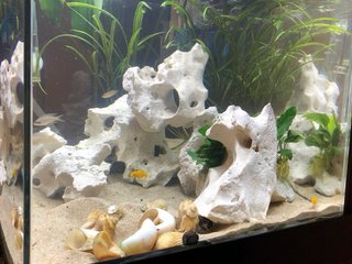 Acuario 120 litros.  Cristal Óptico