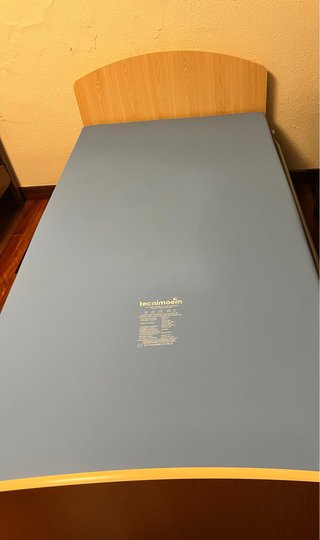 Cama articulada eléctrica Tecnimooem