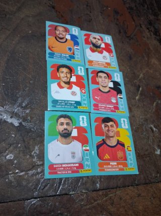 Cromos de fútbol Panini