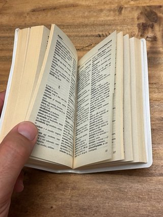 Dizionario tascabile spagnolo