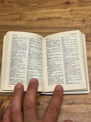 Dizionario tascabile spagnolo