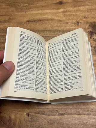 Dizionario tascabile spagnolo