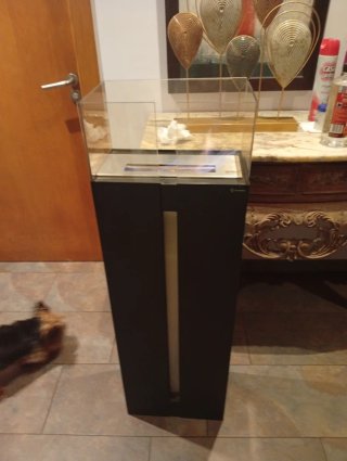Estufa Bioetanol Negra y Transparente