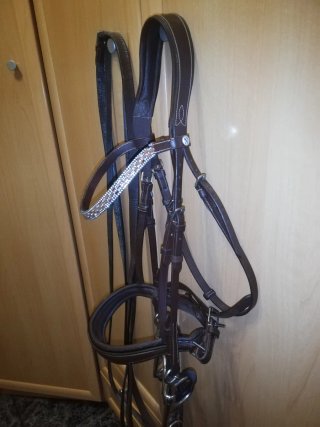 Cabezada inglesa de cuero
