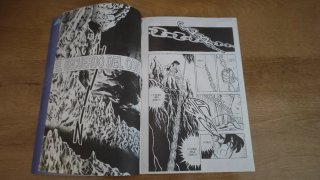 Manga Los Caballeros del Zodiaco 22