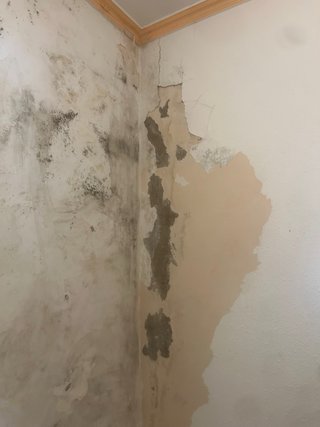Buen precio albañileria