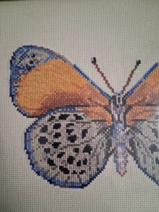 2 cuadros mariposas en punto de cruz