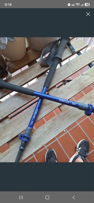 Bastones Trekking Forclaz 500