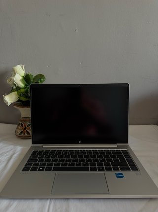 Ordenador HP ProBook Plata