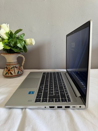 Ordenador HP ProBook Plata