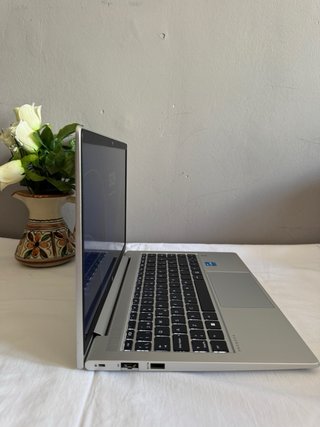 Ordenador HP ProBook Plata