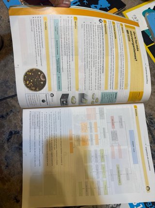 Biología i Geología 1 ESO LOMLOE