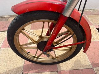 Derbi Variante SLE Roja y Dorada