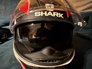 Casco Shark
