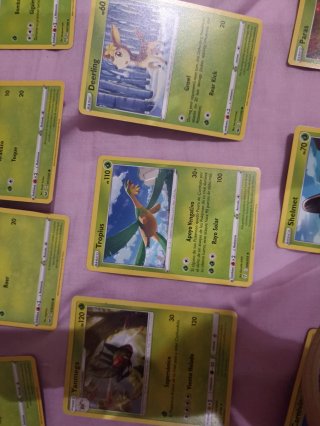 Cartas Pokémon