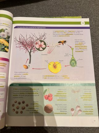 BIOLOGIA Y GEOLOGIA 3 ESO CONSTRUYENDO MUNDOS