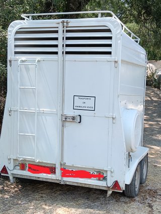 Remolque 2 caballos ITV al día M.m.a. 1.600 kgs.