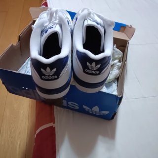 Zapatillas Adidas Blancas y Azules