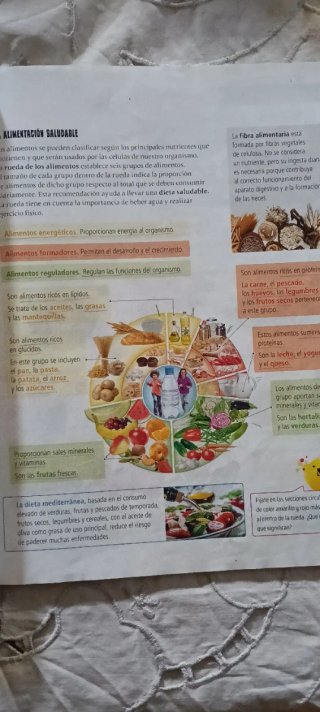 libros Conocimiento del medio 5 primaria