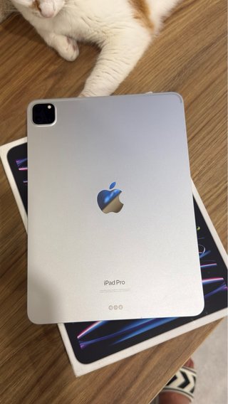 iPad Pro 11 M2 4ª Geração 128GB Wi-Fi Prata