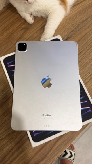 iPad Pro 11 M2 4ª Geração 128GB Wi-Fi Prata