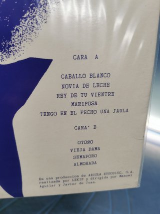 disco LP vinilo Amancio Prada – Navegando La Noche, 1988, Spain