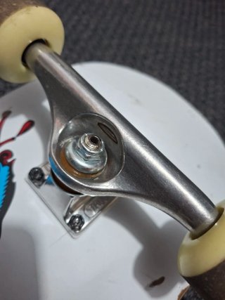 Skate Santa Cruz 8.25