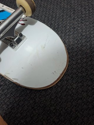 Skate Santa Cruz 8.25