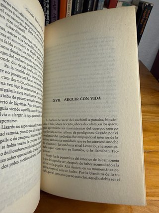 En las alas de las mariposas - Germán Sánchez