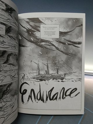 comic , Endurance - de Luis Bustos
