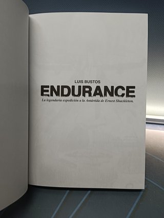 comic , Endurance - de Luis Bustos