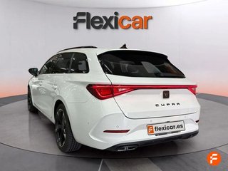 Cupra León SP 1.5 eTSI 110kW (150CV) DSG