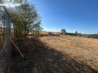 Campo en Ocaña, Parcela