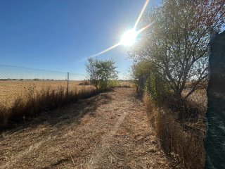 Campo en Ocaña, Parcela