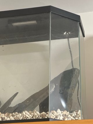 Acuario 30L LED Negro