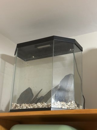 Acuario 30L LED Negro