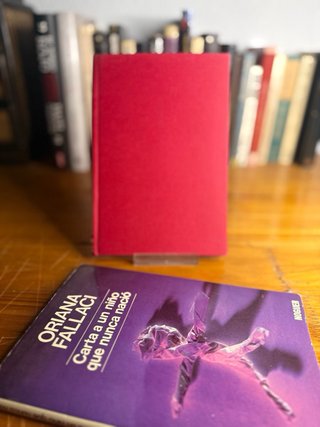 Carta a un niño que nunca nació - Fallaci